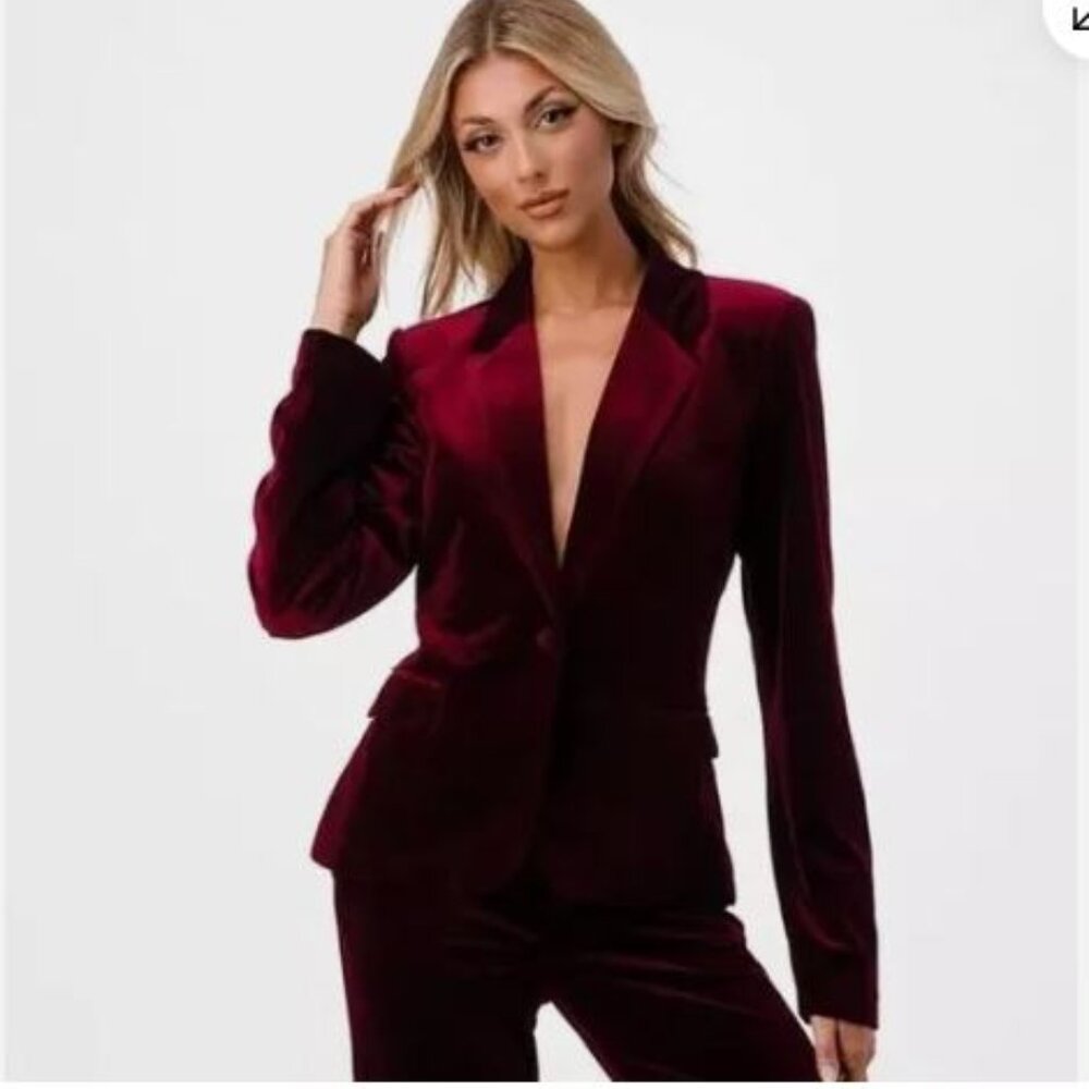 Truth by Republic Velvet Long Sleeve Blazer in Burgundy